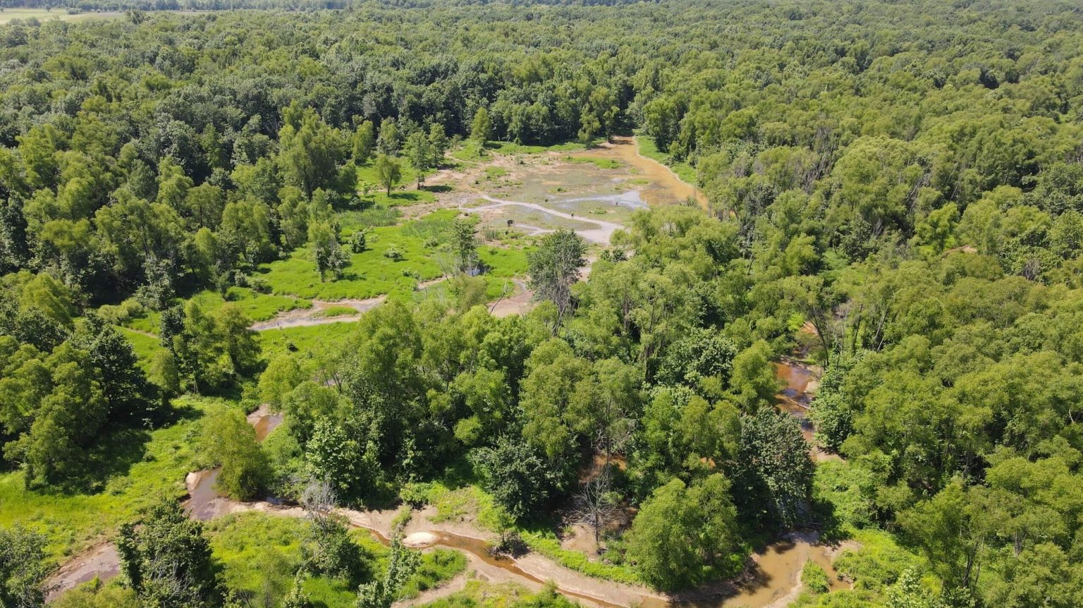 Location of Lost Lands & Ownership Investigations